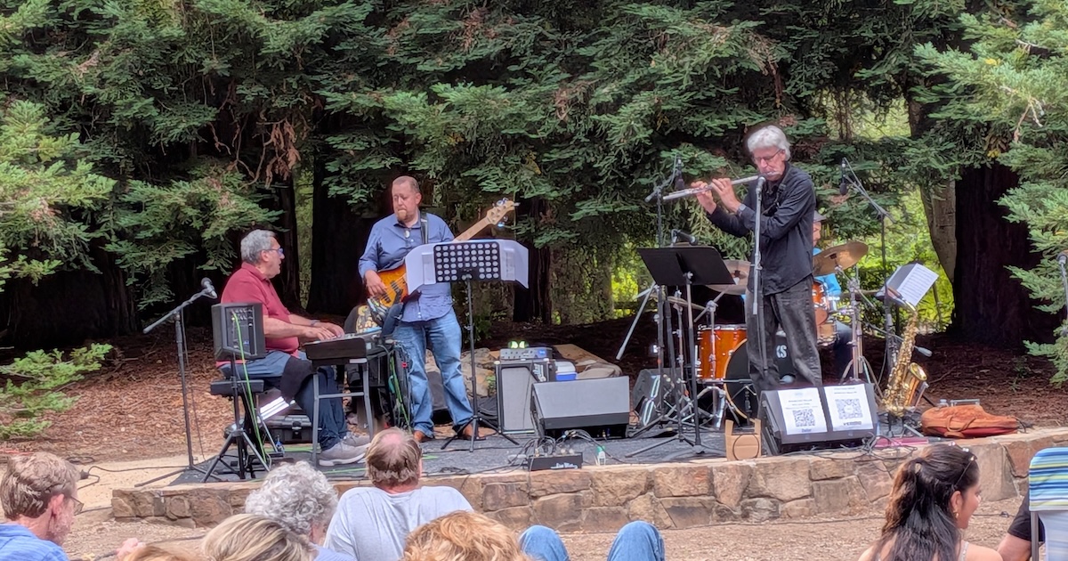 Brazilian Grooves Under the Redwoods 