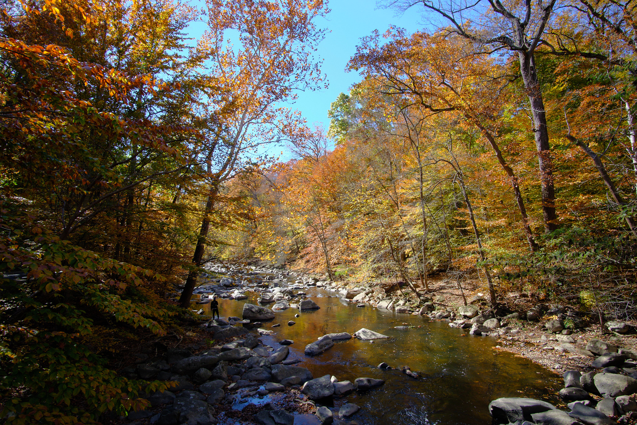 Fall colors around Rock Creek