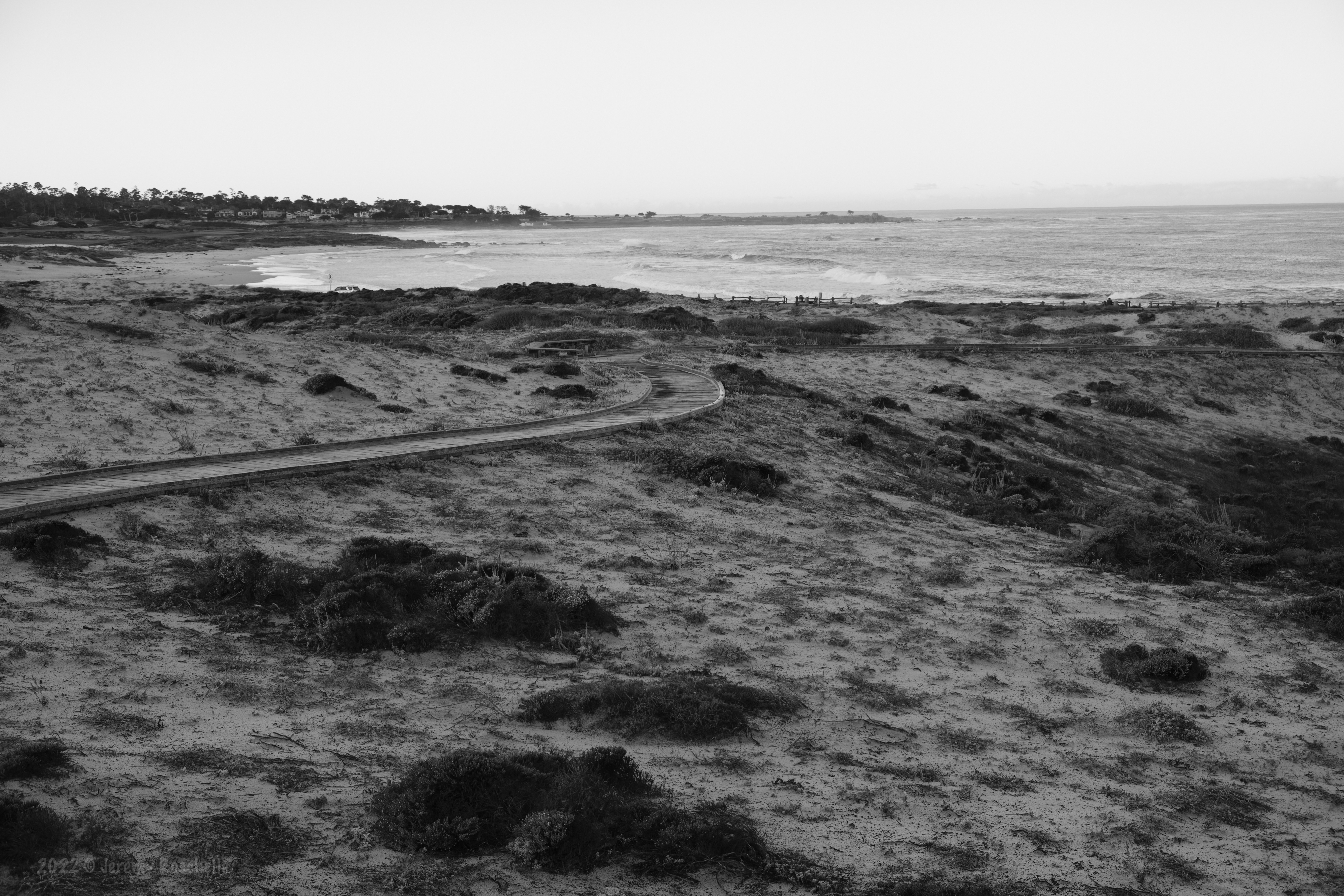 Boardwalk at Asilomar