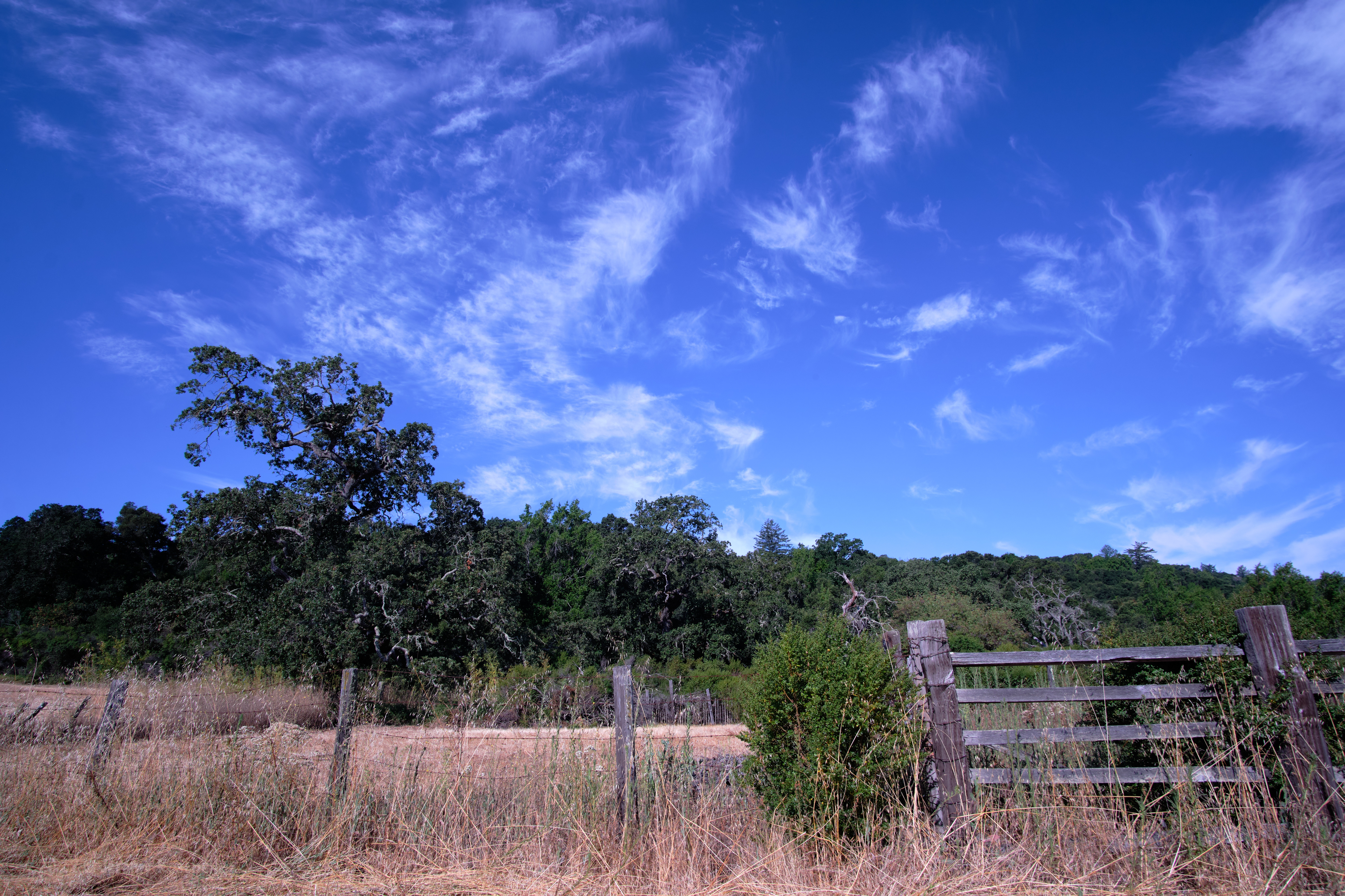 &lt;# Corral with swirly clouds #&gt;