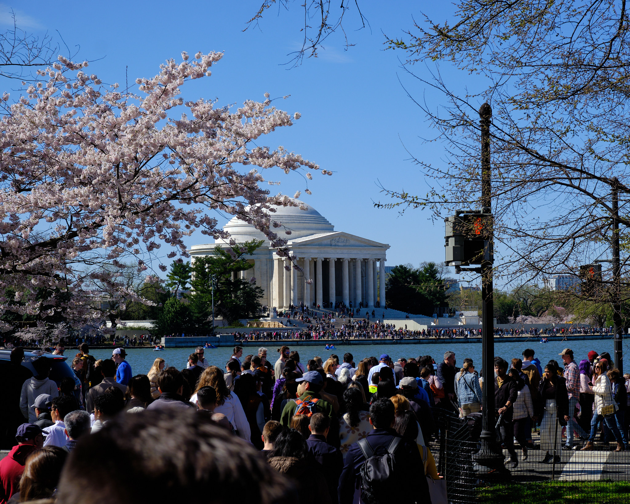 &lt;# Crowded crosswalk as people seek to get close to the Tidal Basin #&gt;