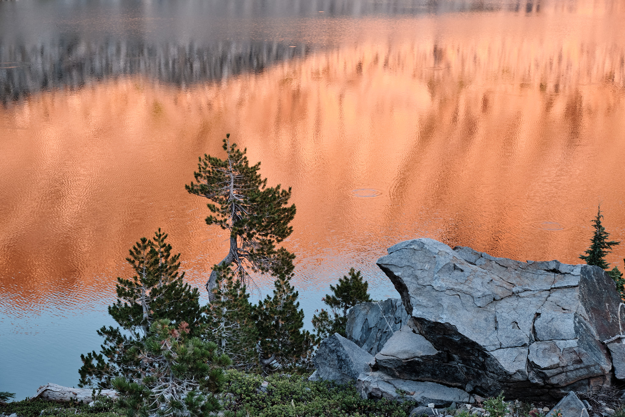 &lt;# Hemlock Lake #&gt;