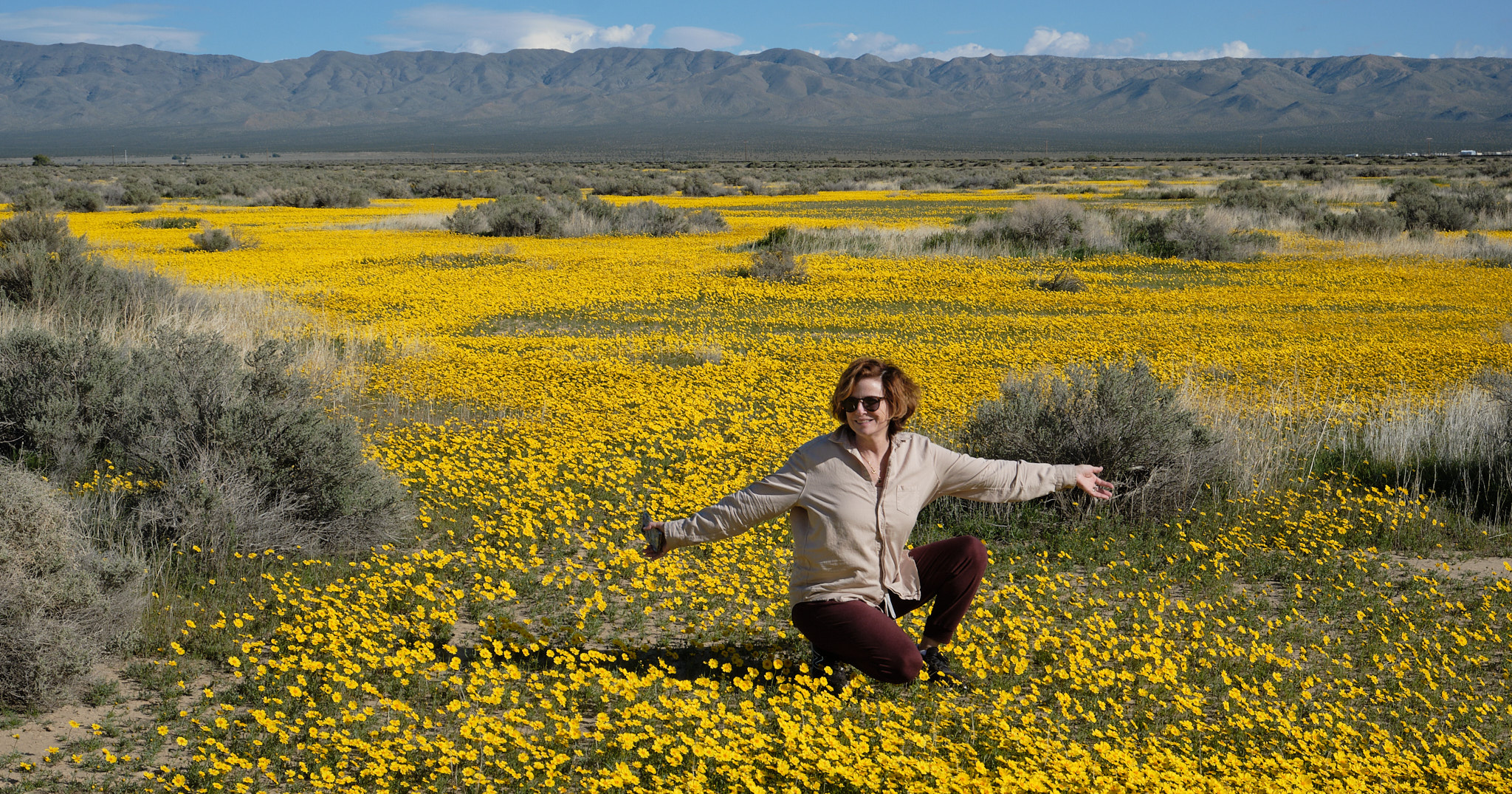 Audrey in a field of Desert Gold in the Mojave Desert