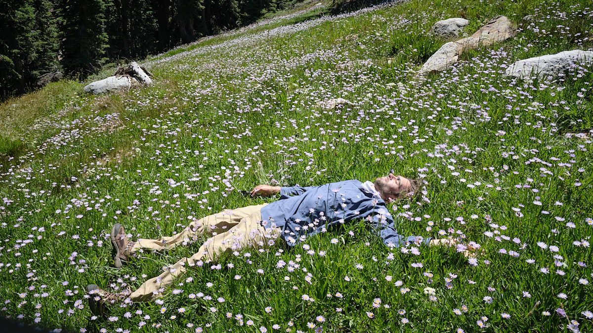 &lt;# Jacob lies down in a field of flowers #&gt;