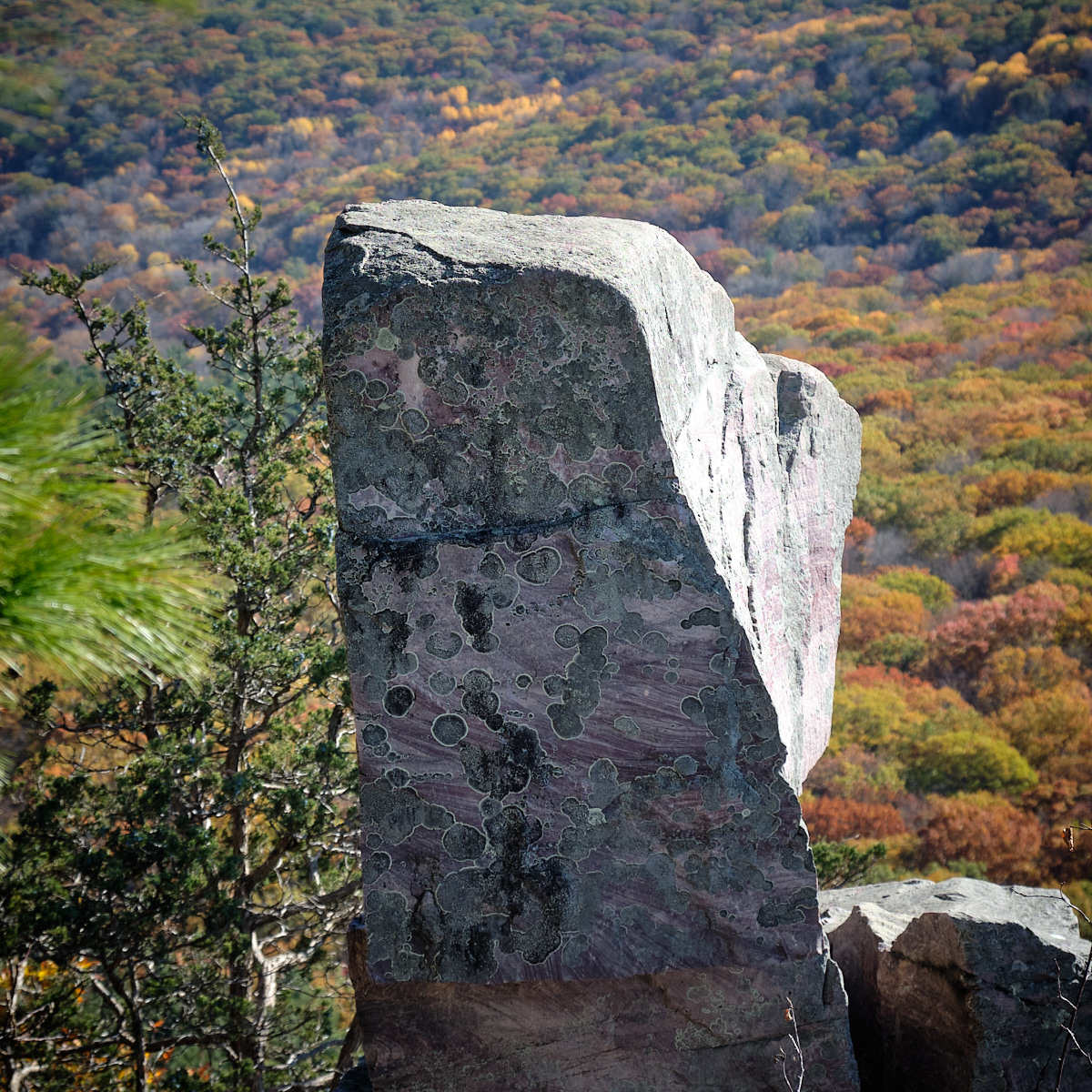 <# a rock climber on ropes #>