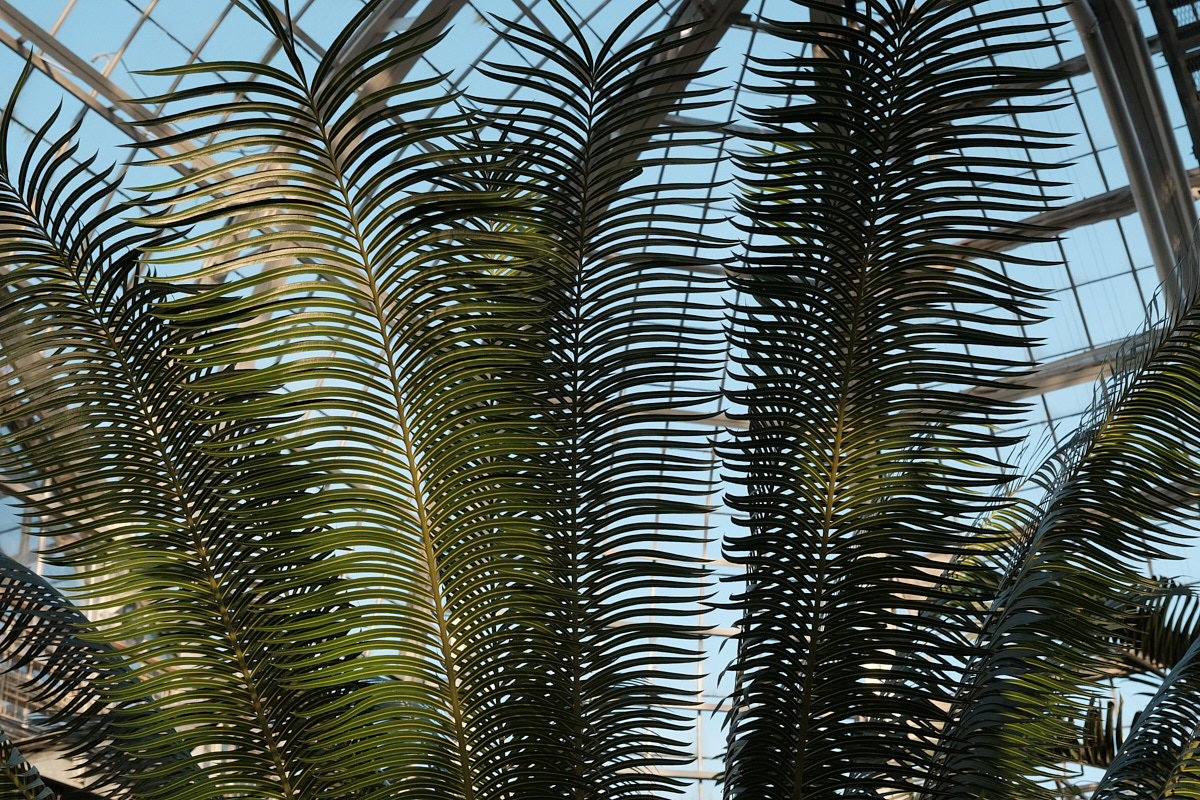 <# The architecture of the tropical garden greenhouse #>