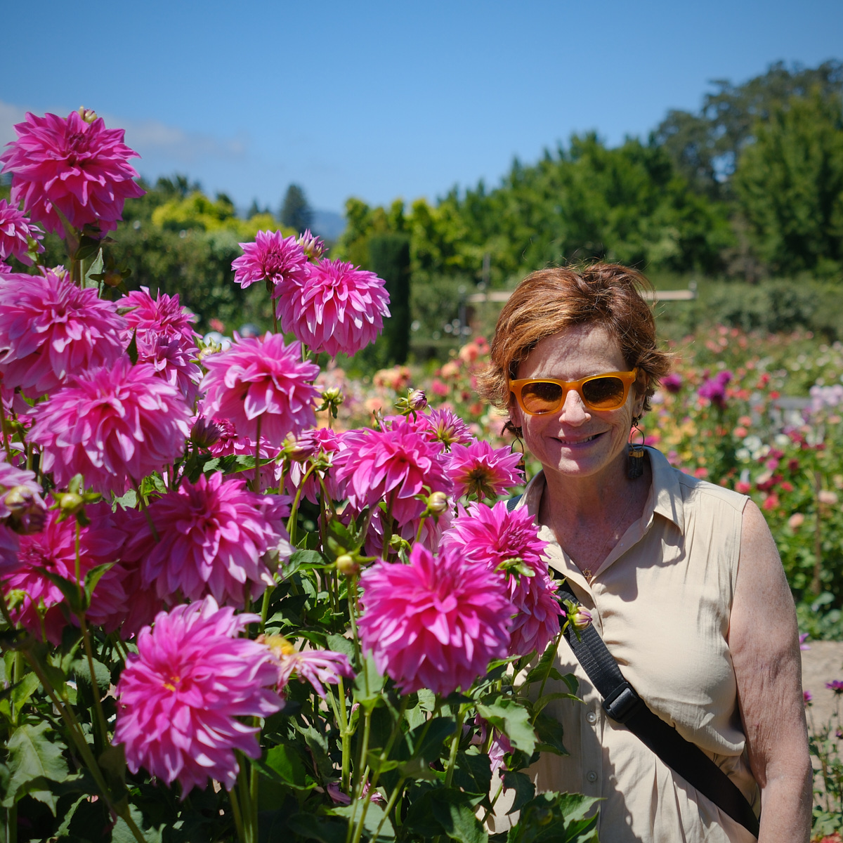 <# Audrey amongst flowers #>